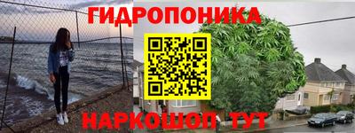 индика Гусиноозёрск