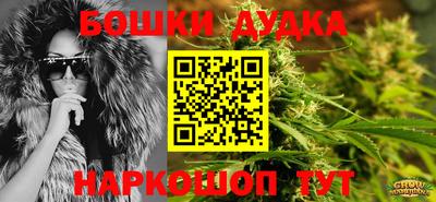 spice Гусев