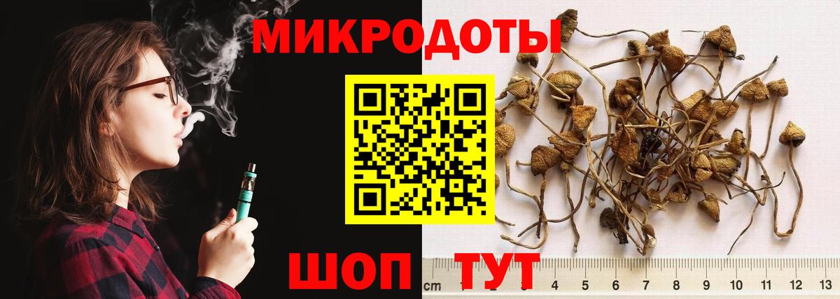 Галлюциногенные грибы Psilocybe  Вход с VPN  Норильск  Псилоцибиновые грибы мухоморы 